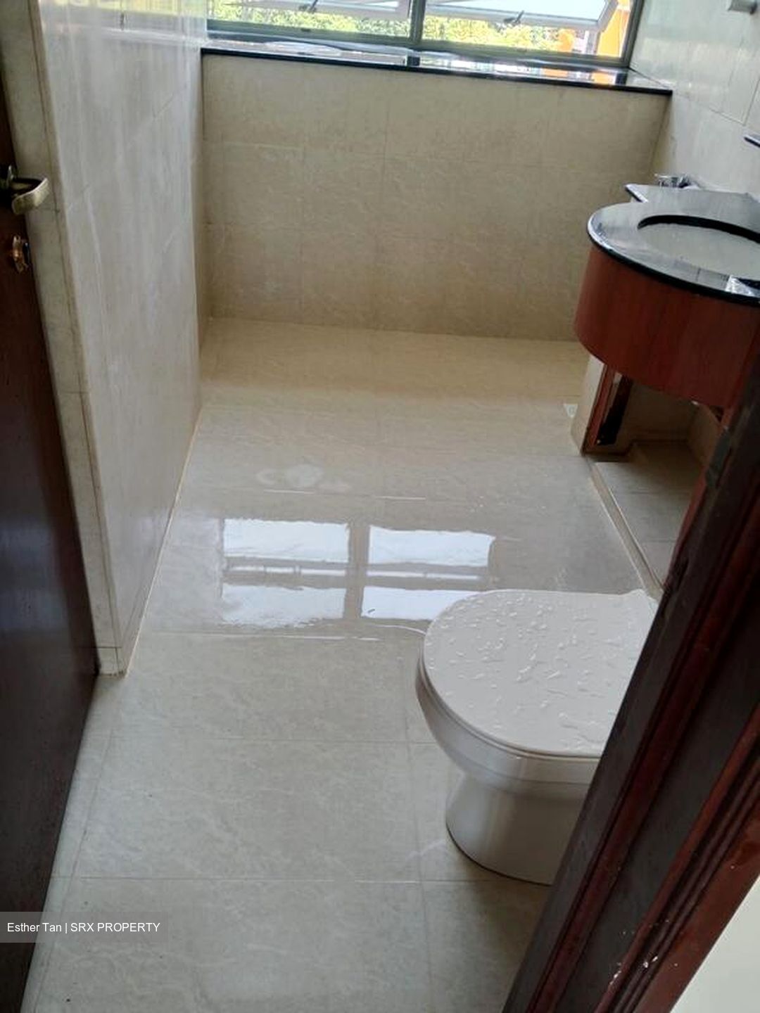 Sunhaven (D16), Condominium #519387381